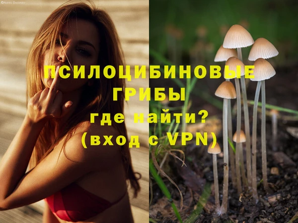 COCAINE Горняк
