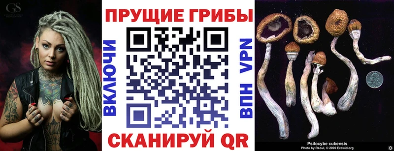 Псилоцибиновые грибы GOLDEN TEACHER  купить наркотики сайты  OMG онион  Долинск 